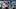 Carolina Panthers quarterback Bryce Young , Fantasy Football 