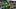 Oregon Ducks wide receiver Kyler Kasper touchdown spring game autzen stadium dan lanning big ten football transfer portal Oregon Ducks wide receiver Kyler Kasper touchdown spring game autzen stadium dan lanning big ten football transfer portal