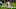 Chicago Bears, Brayden Willis Chicago Bears, Brayden Willis