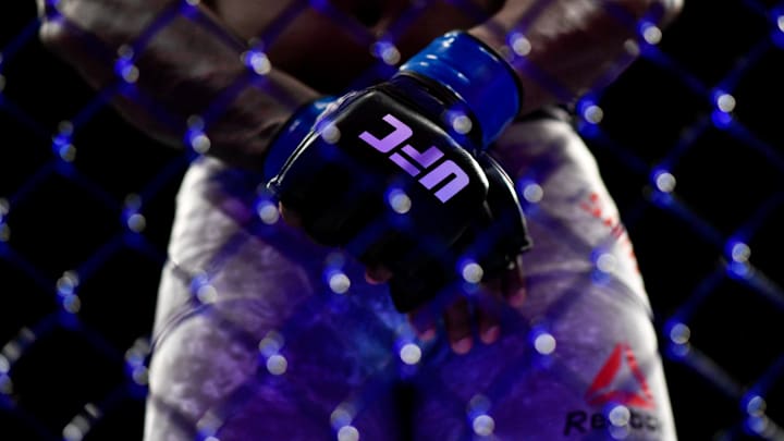 UFC gloves