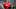 St. Louis Cardinal St. Louis Cardinal