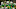 George Moore, Oregon, CFL George Moore, Oregon, CFL