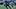 Carolina Panthers wide receiver Jalen Coker (18) makes a catch while defended by Chicago Bears cornerback Malik Muhammad II Carolina Panthers wide receiver Jalen Coker (18) makes a catch while defended by Chicago Bears cornerback Malik Muhammad II