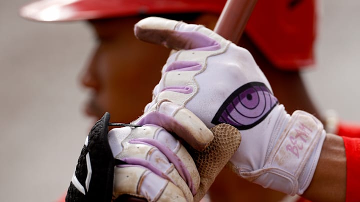 Cincinnati Reds spring training