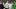 Denver Broncos quarterback Bo Nix, a former Oregon quarterback, left, and Oregon quarterback Dillon Gabriel, right, take a pi Denver Broncos quarterback Bo Nix, a former Oregon quarterback, left, and Oregon quarterback Dillon Gabriel, right, take a pi