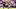 LSU Tigers running back Caden Durham LSU Tigers running back Caden Durham