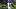 George Pickens, Dallas Cowboy George Pickens, Dallas Cowboy