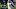 George Pickens, Dallas Cowboys
