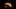 CG5_3949