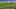 FC Schalke 04 v FC Bayern Muenchen - Bundesliga FC Schalke 04 v FC Bayern Muenchen - Bundesliga