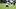 Chicago Bears linebacker Jack Sanborn. Chicago Bears linebacker Jack Sanborn.