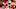 NY Jets, Joshua Williams NY Jets, Joshua Williams