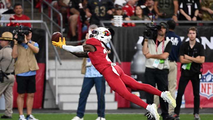 Atlanta Falcons v Arizona Cardinals
