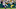 Minnesota Vikings wide receiver Justin Jefferson (18) makes a catch against Green Bay Packers cornerback Carrington Valentine