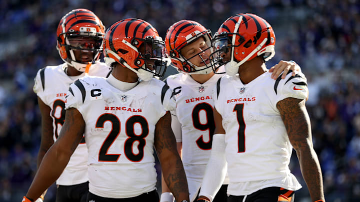 Cincinnati Bengals v Baltimore Ravens