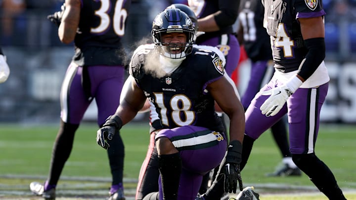 Atlanta Falcons v Baltimore Ravens