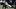 Raiders Raiders