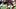 Saints Saints