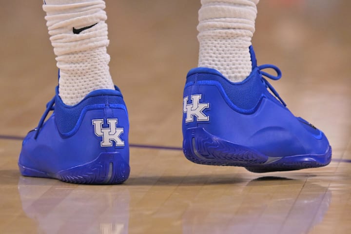 what shoes is lebron wearing today