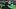 Philadelphia Eagles Head Coach Nick Sirianni and Washington Commanders Head Coach Dan Quinn Philadelphia Eagles Head Coach Nick Sirianni and Washington Commanders Head Coach Dan Quinn
