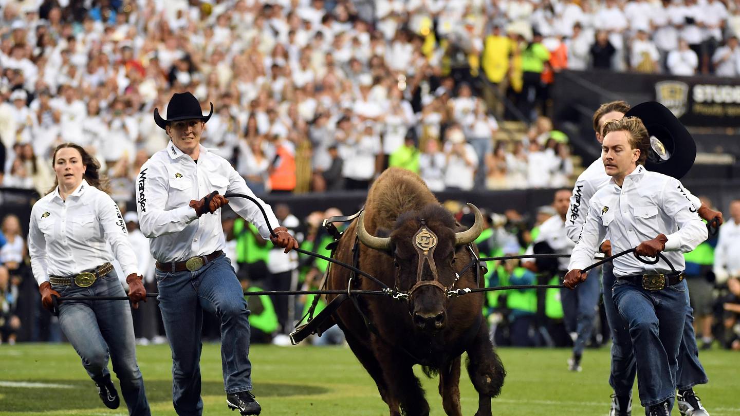 Colorado's Ralphie Ranks Second in Mascot Showdown