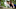 THE TWILIGHT SAGA: BREAKING DAWN-PART 2 THE TWILIGHT SAGA: BREAKING DAWN-PART 2