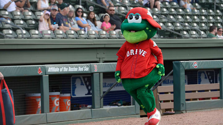 Reedy Rip'it the Frog hits the field as the Greenville Drive take on the Bowling Green Hot Rods at Fluor Field on April 4.
