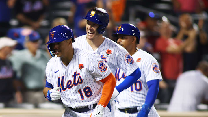 Washington Nationals v New York Mets