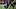 Oregon Ducks New Orleans Saints 2026 NFL season Tyler Shough Minnesota Vikings San Francisco 49ers Seattle Seahawks NFC South