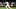 Tampa Bay Rays center fielder Cedric Mullins bunting 