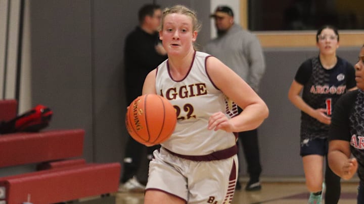 Bristol Aggie's Molly LaBrie dribbles down court during an MIAA-MCSAO crossover game against Argosy Collegiate Charter on Dec. 13, 2024.