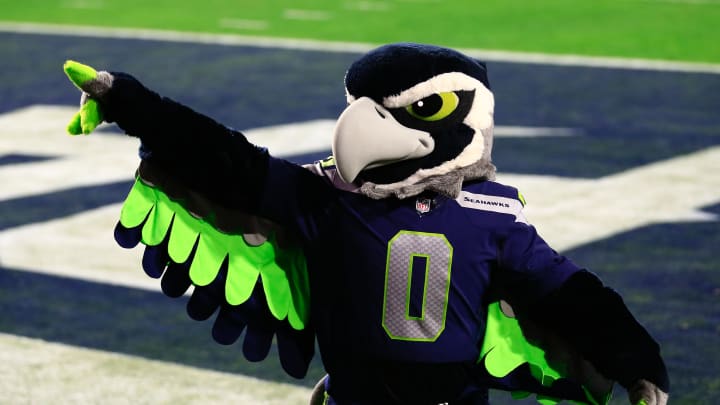 Feb 1, 2015; Glendale, AZ, USA; Seattle Seahawks mascot Blitz in Super Bowl XLIX at University of Phoenix Stadium. Mandatory Credit: Andrew Weber-USA TODAY Sports Feb 1, 2015; Glendale, AZ, USA; Seattle Seahawks mascot Blitz in Super Bowl XLIX at University of Phoenix Stadium. Mandatory Credit: Andrew Weber-USA TODAY Sports