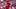 Cincinnati Reds pitcher Brady Singer Cincinnati Reds pitcher Brady Singer