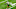 Can Jets rookie safety Malachi Moore emerge as a starter in 2025? Can Jets rookie safety Malachi Moore emerge as a starter in 2025?