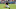 Chicago Bears, Justin Fields Chicago Bears, Justin Fields