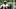 Pittsburgh Steelers quarterback Drew Allar Pittsburgh Steelers quarterback Drew Allar