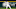 Week 8 Fantasy Baseball Waiver Wire Pickup: Ezequiel Duran, Texas Ranger
