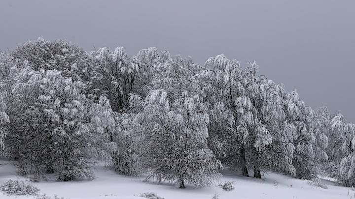 Kocadag Plateau, a popular destination for nature lovers, turned white with snow in Turkiye's Samsun