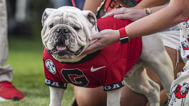Oct 12, 2024; Athens, Georgia, USA; Georgia Bulldogs mascot UGA XI shown on the field during the game against the Mississippi State Bulldogs at Sanford Stadium. Mandatory Credit: Dale Zanine-Imagn Images