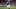 College Football Rankings: ESPN Shakes Up the New Top 25 Poll for Week 3 College Football Rankings: ESPN Shakes Up the New Top 25 Poll for Week 3