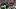 Sep 20, 2026; Houston, Texas, USA; at Reliant StadiumHouston Texans defensive end Will Anderson Jr. (51) celebrates with def Sep 20, 2026; Houston, Texas, USA; at Reliant StadiumHouston Texans defensive end Will Anderson Jr. (51) celebrates with def