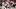 Paul Finebaum Raises Doubts Over SEC Coach’s Future After Week 4 Loss Paul Finebaum Raises Doubts Over SEC Coach’s Future After Week 4 Loss