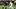Pittsburgh Steelers running back Rico Dowdle Pittsburgh Steelers running back Rico Dowdle