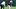 Jaylen Mbakwe Alabama Crimson Tid Jaylen Mbakwe Alabama Crimson Tid