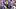 LSU Tigers tight end Trey'Dez Green LSU Tigers tight end Trey'Dez Green