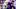 Chicago Bears, Nick Saldiveri Chicago Bears, Nick Saldiveri