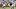 NY Giants WR Malachi Fields secures a catch vs. Commanders NY Giants WR Malachi Fields secures a catch vs. Commanders