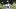 Pittsburgh Steelers quarterback Drew Allar Pittsburgh Steelers quarterback Drew Allar
