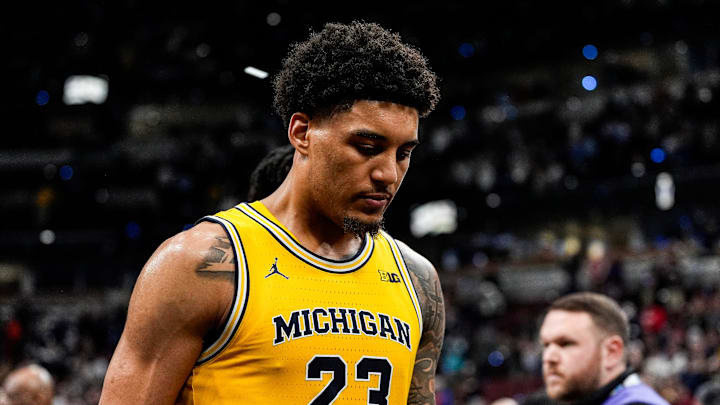 Yaxel Lendeborg, Michigan Wolverines