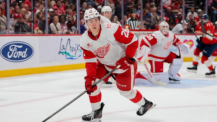 Apr 15, 2026; Sunrise, Florida, USA; Detroit Red Wings forward Michael Brandsegg-Nygard (28) moves the puck against the Florida Panthers during the second period at Amerant Bank Arena. Mandatory Credit: Sam Navarro-Imagn Images Apr 15, 2026; Sunrise, Florida, USA; Detroit Red Wings forward Michael Brandsegg-Nygard (28) moves the puck against the Florida Panthers during the second period at Amerant Bank Arena. Mandatory Credit: Sam Navarro-Imagn Images
